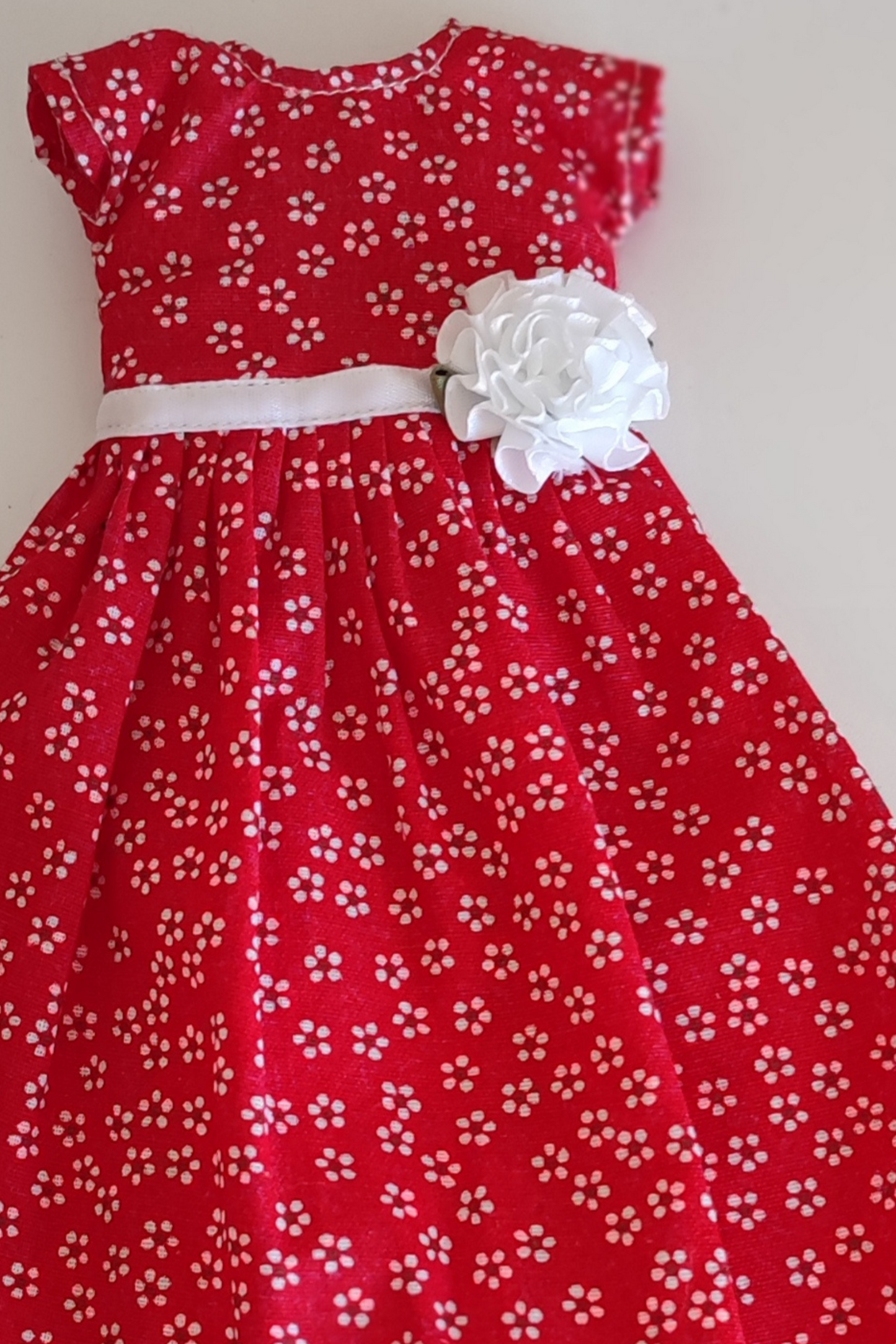 Provence red dress